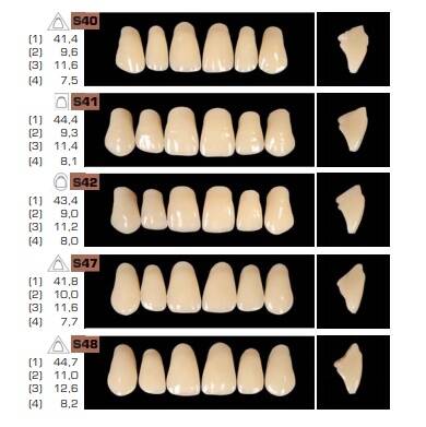 Acry Rock, A2 Renk, S42 Form Akrilik Diş